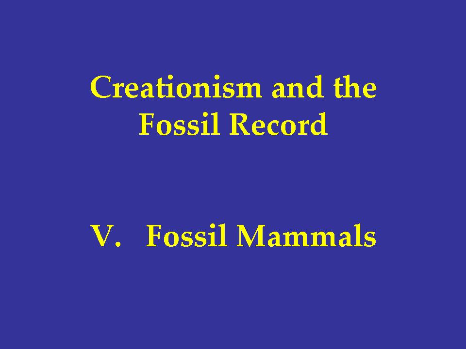 Slide 056