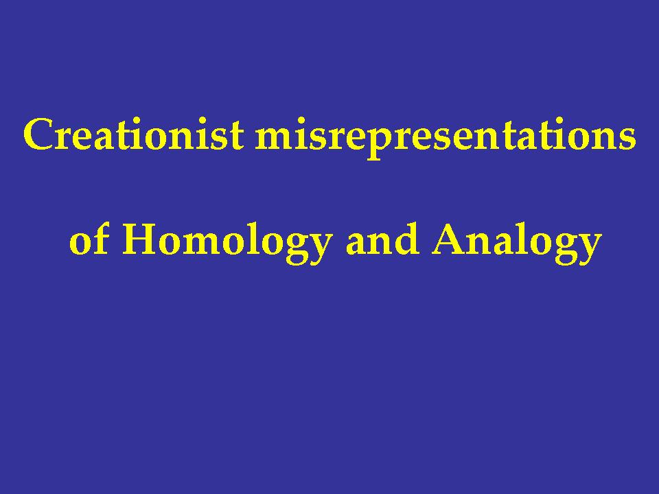 Slide 083