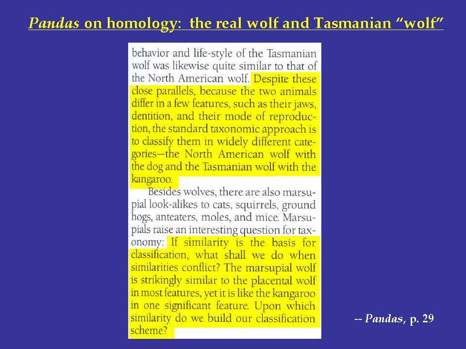 Slide 085