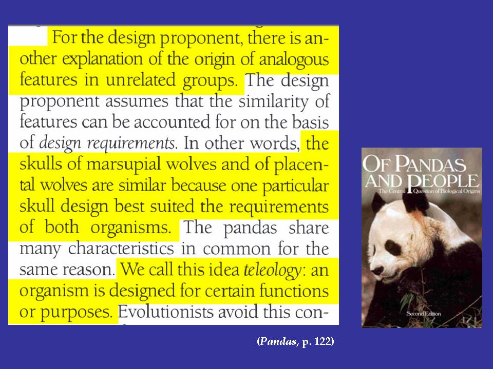 Slide 102