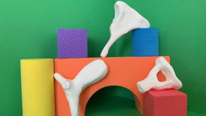 Ear bones
