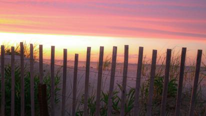 Cape Cod, MA