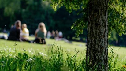 people in a park