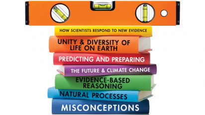 RNCSE 41:3 Cover