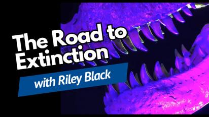 Road to Extinction webinar card.