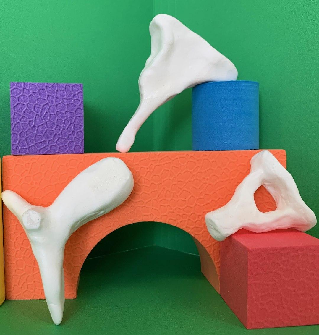 Ear bones