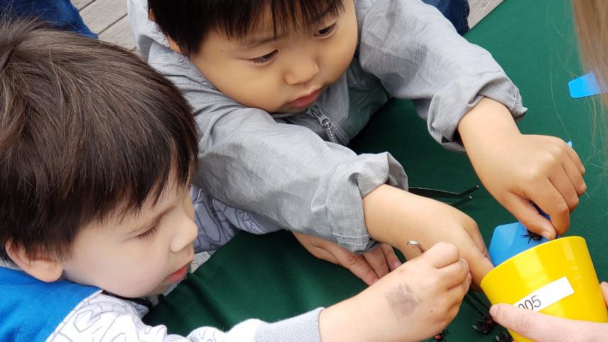 Two boys doing the Buzz Off activity