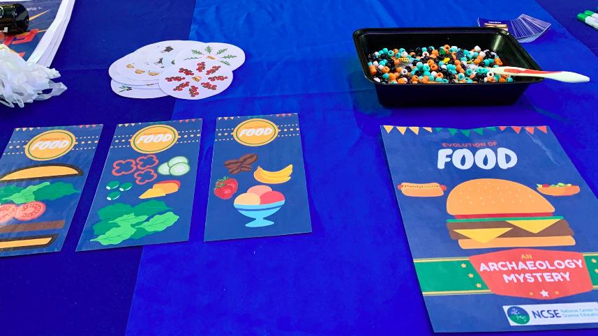 Evolution of Food materials