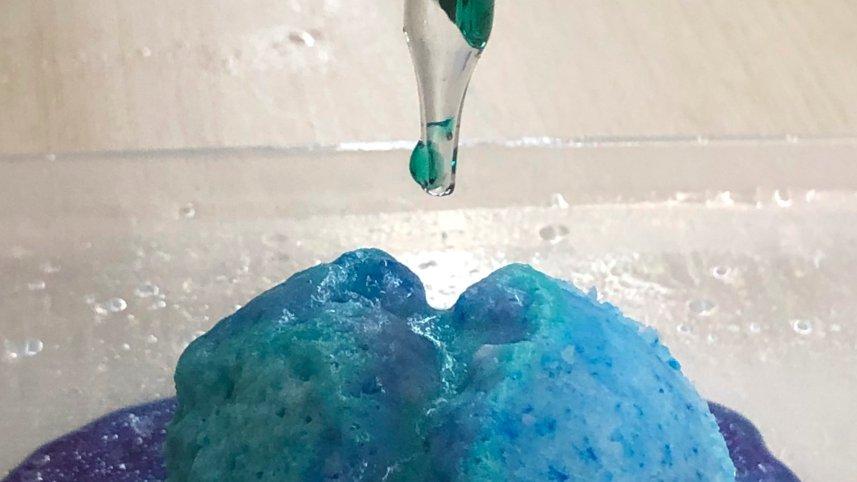 Digestion experiment