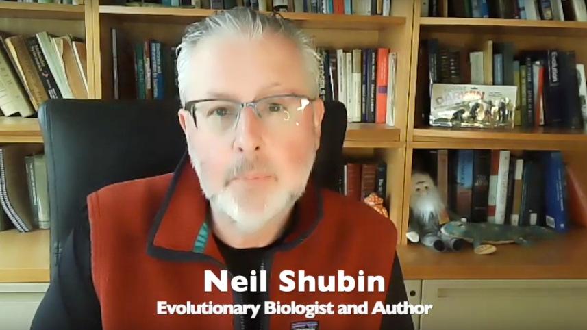 Neil Shubin