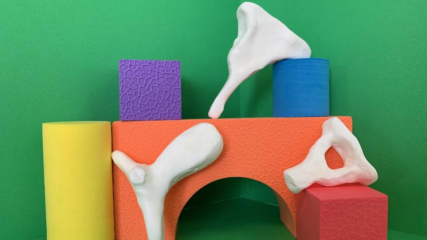 Ear bones