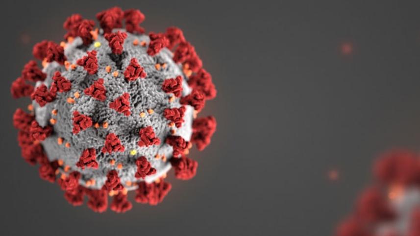 coronavirus