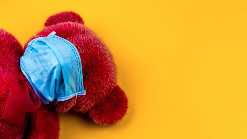 teddy bear in mask