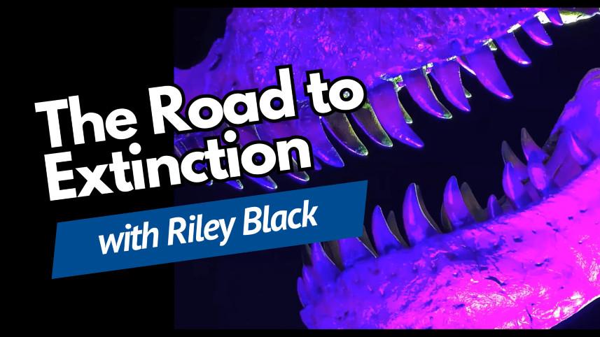 Road to Extinction webinar card.